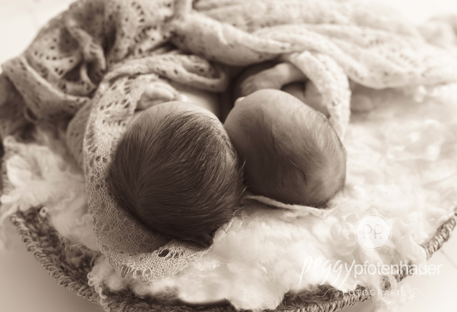 neugeborene Zwillinge, neugeboren in Bamberg