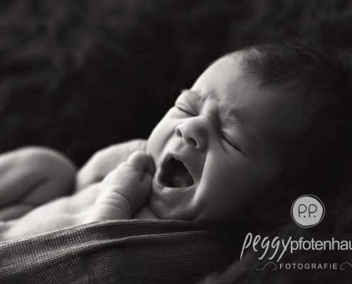 Neugeborenenbilder Peggy Pfotenhauer Fotografie
