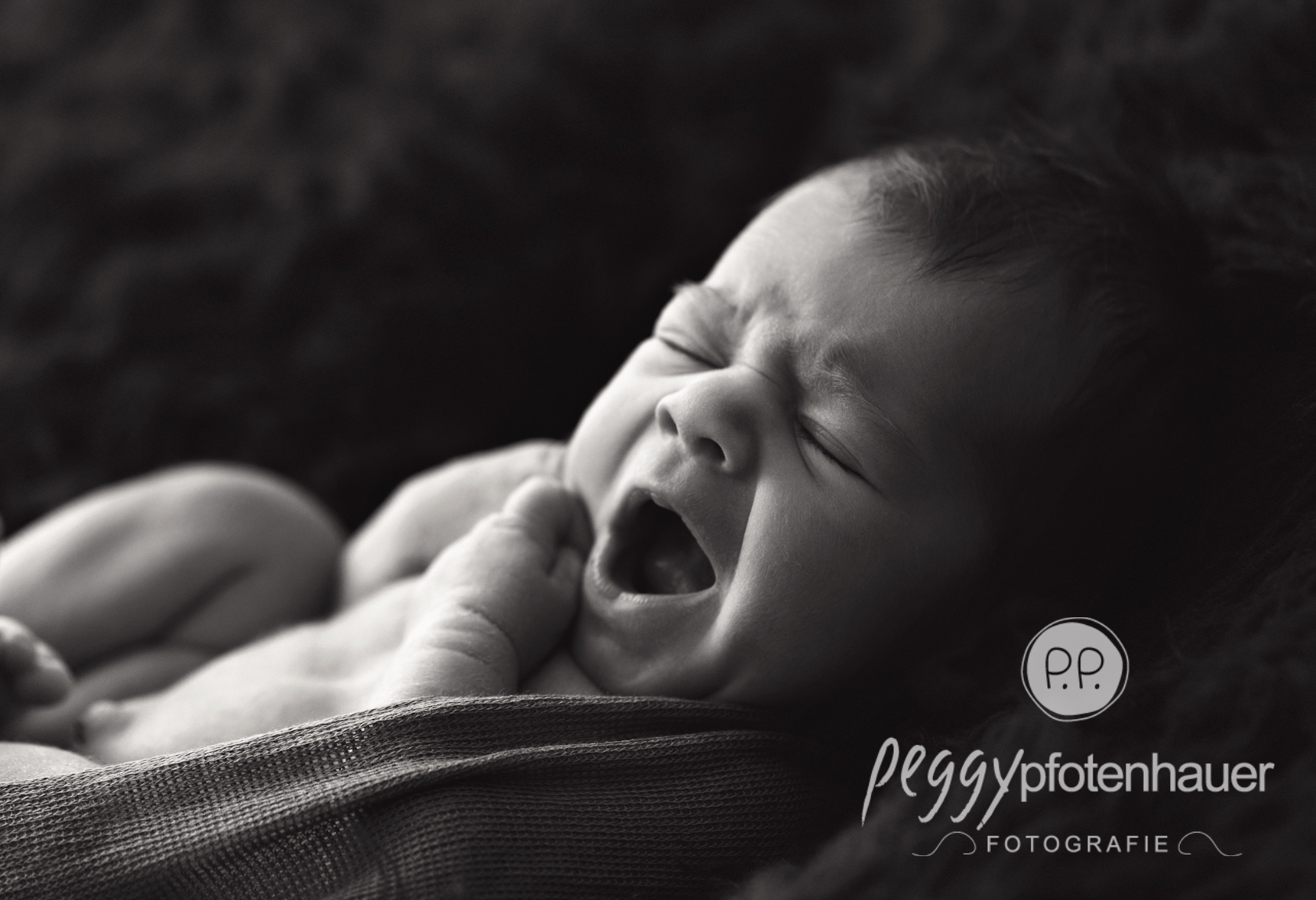Neugeborenenbilder Peggy Pfotenhauer Fotografie