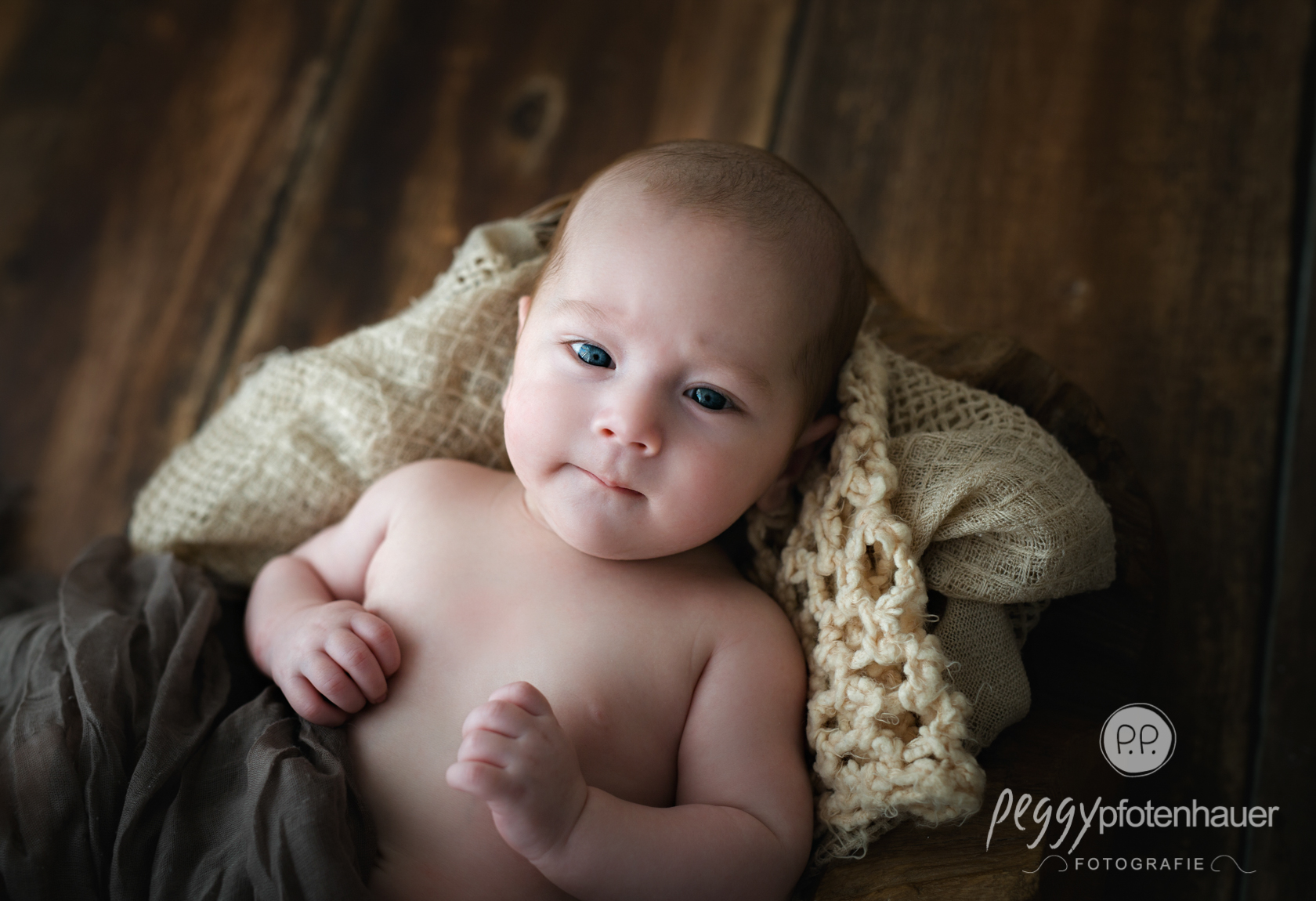 Babybilder Peggy Pfotenhauer Fotografie