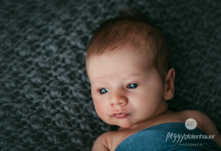 newborn Peggy Pfotenhauer Fotografie
