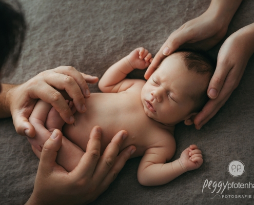natürliche Neugeborenenfotografie Peggy Pfotenhauer