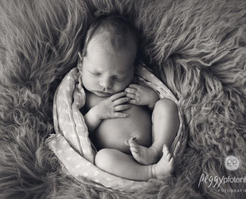 newborn Photography