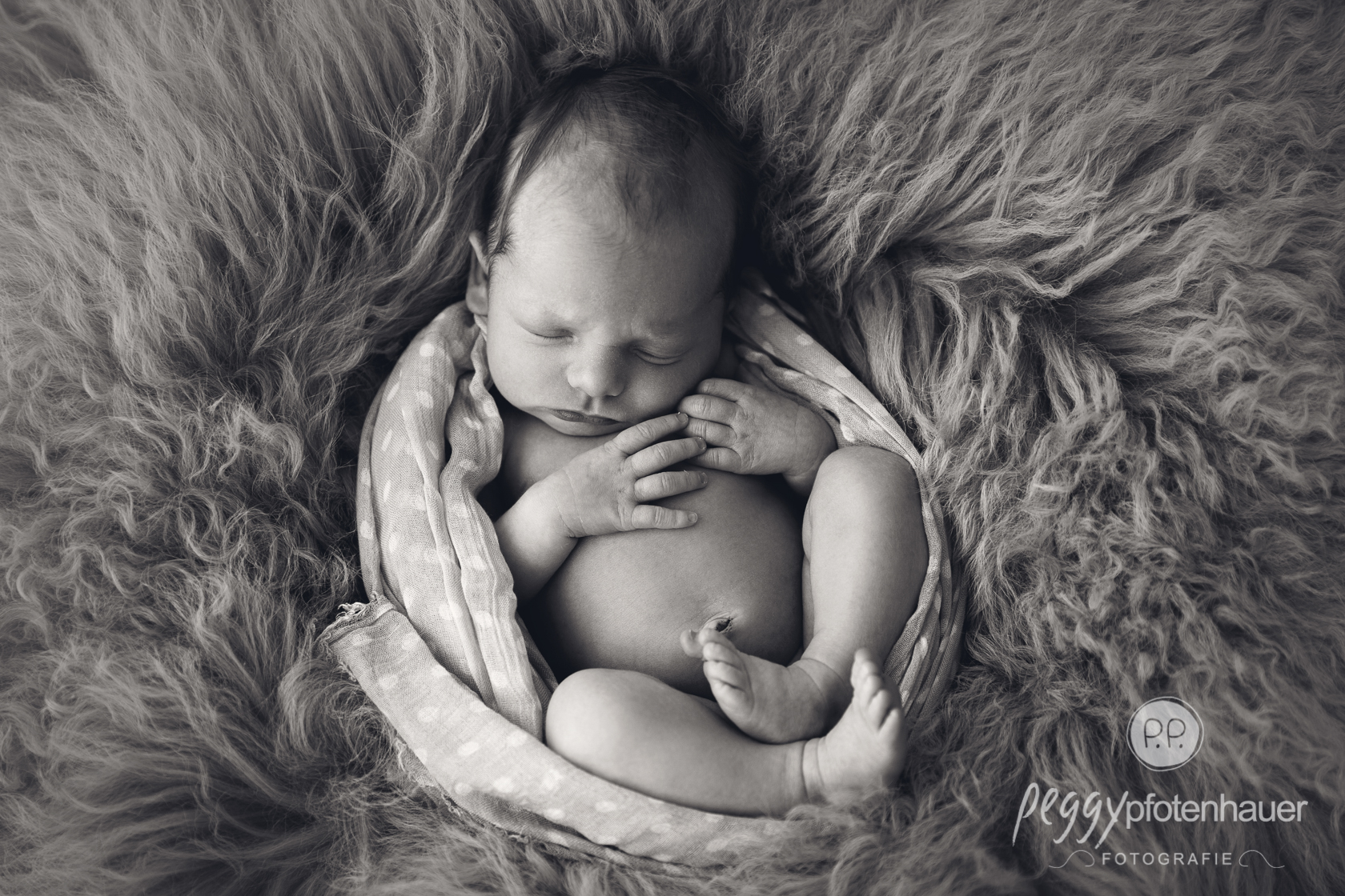newborn Photography