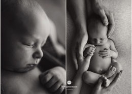 Babyfotograf Bamberg