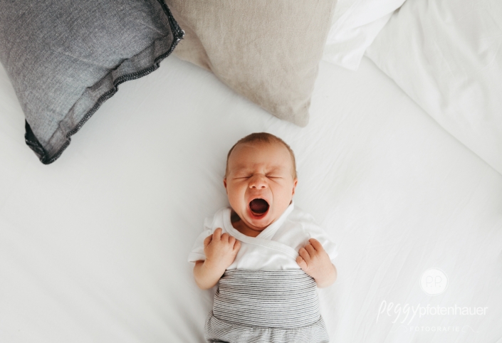 newborn Photos Bamberg