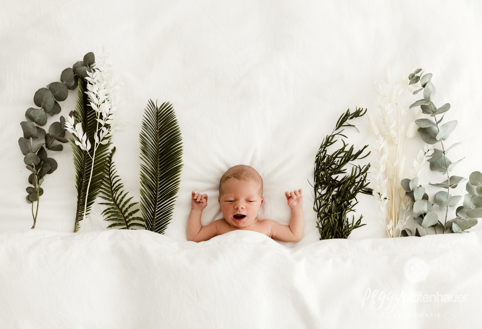 newborn Fotografie