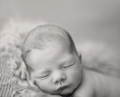 Neugeborenenportraits