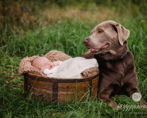 Babyfotos mit Hund