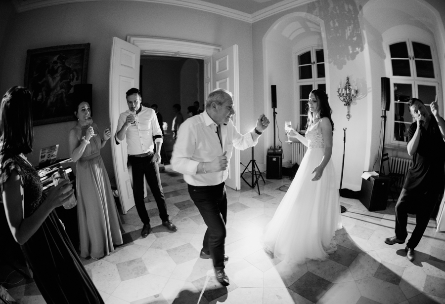 Partyphotos Wedding Partyphotos Wedding