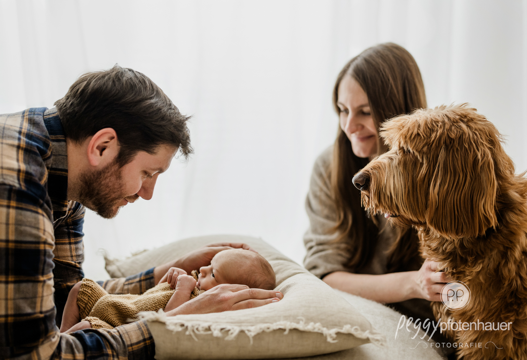 familienfotos-mit-baby-und-hund