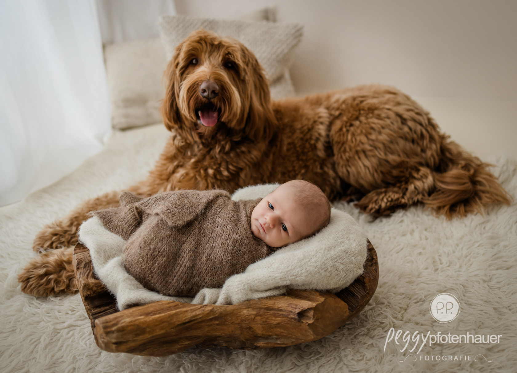 neugeborenenfotos-mit-hund-bayern Hund und Neugeborenes in Bayern fotografieren