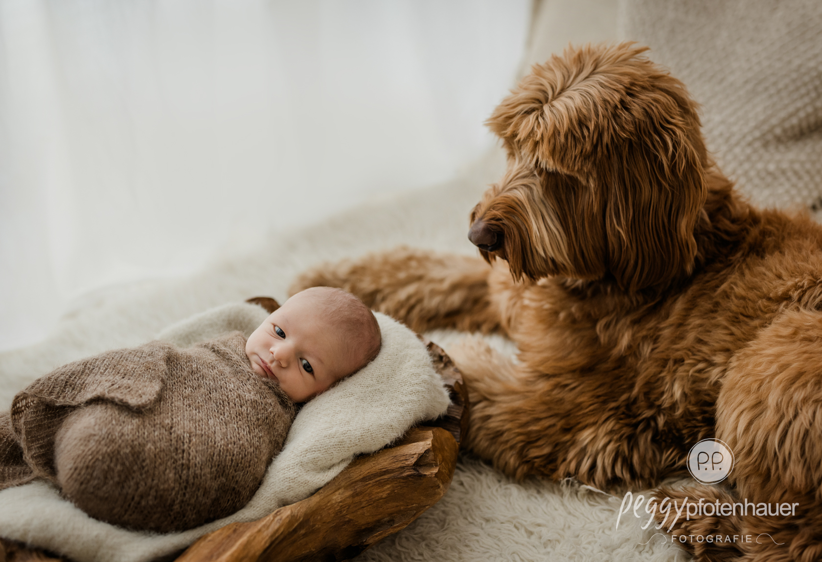 neugeborenenfotos-mit-hund-im-fotostudio Hund schaut Baby an