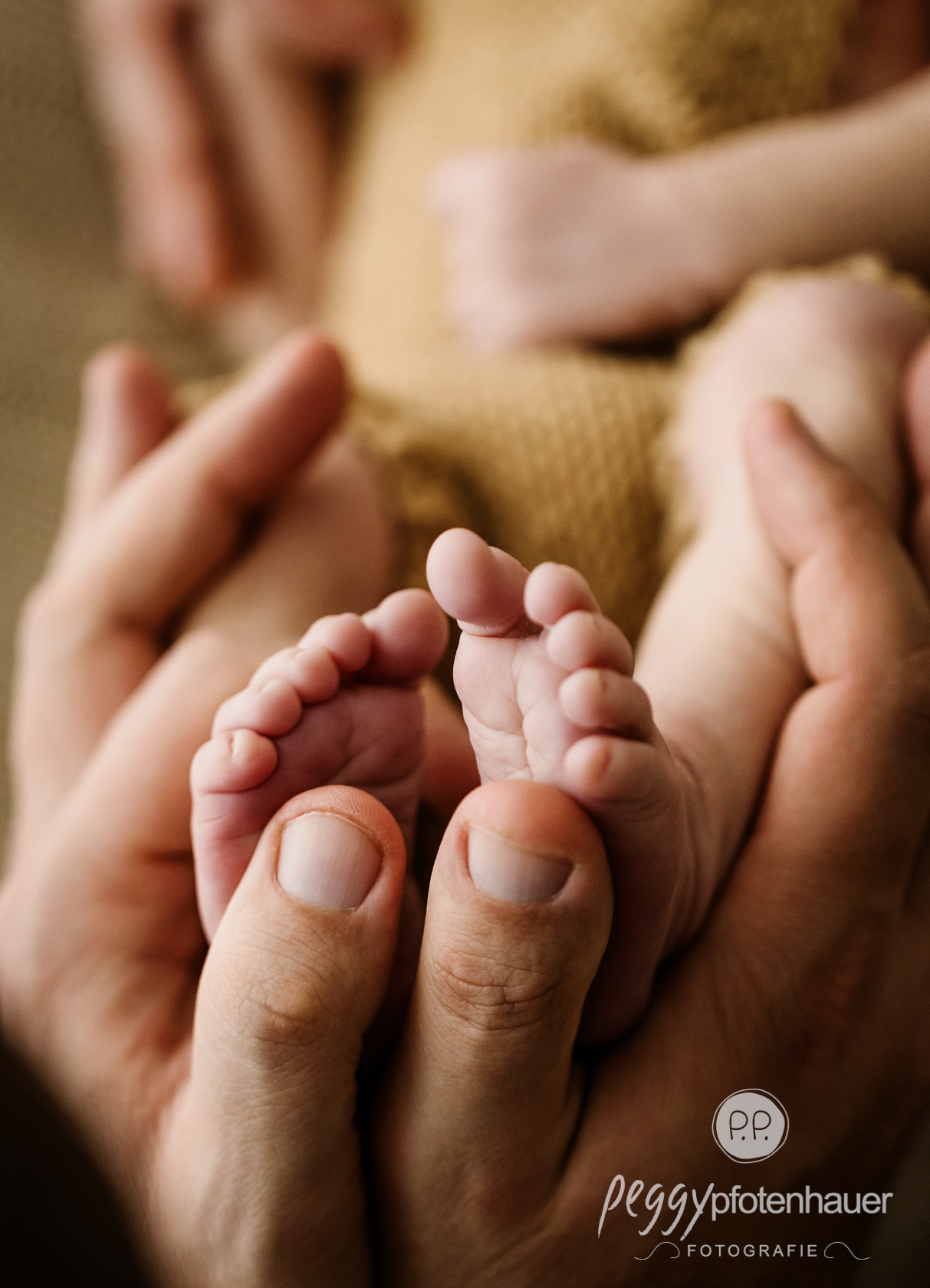 newbornfotos-details Babyfüße mit Händen von Mama und Papa