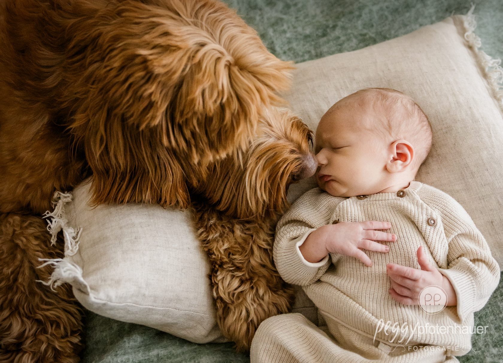 newbornfotos-mit-hund-bayern Baby kuschelt mit Hund