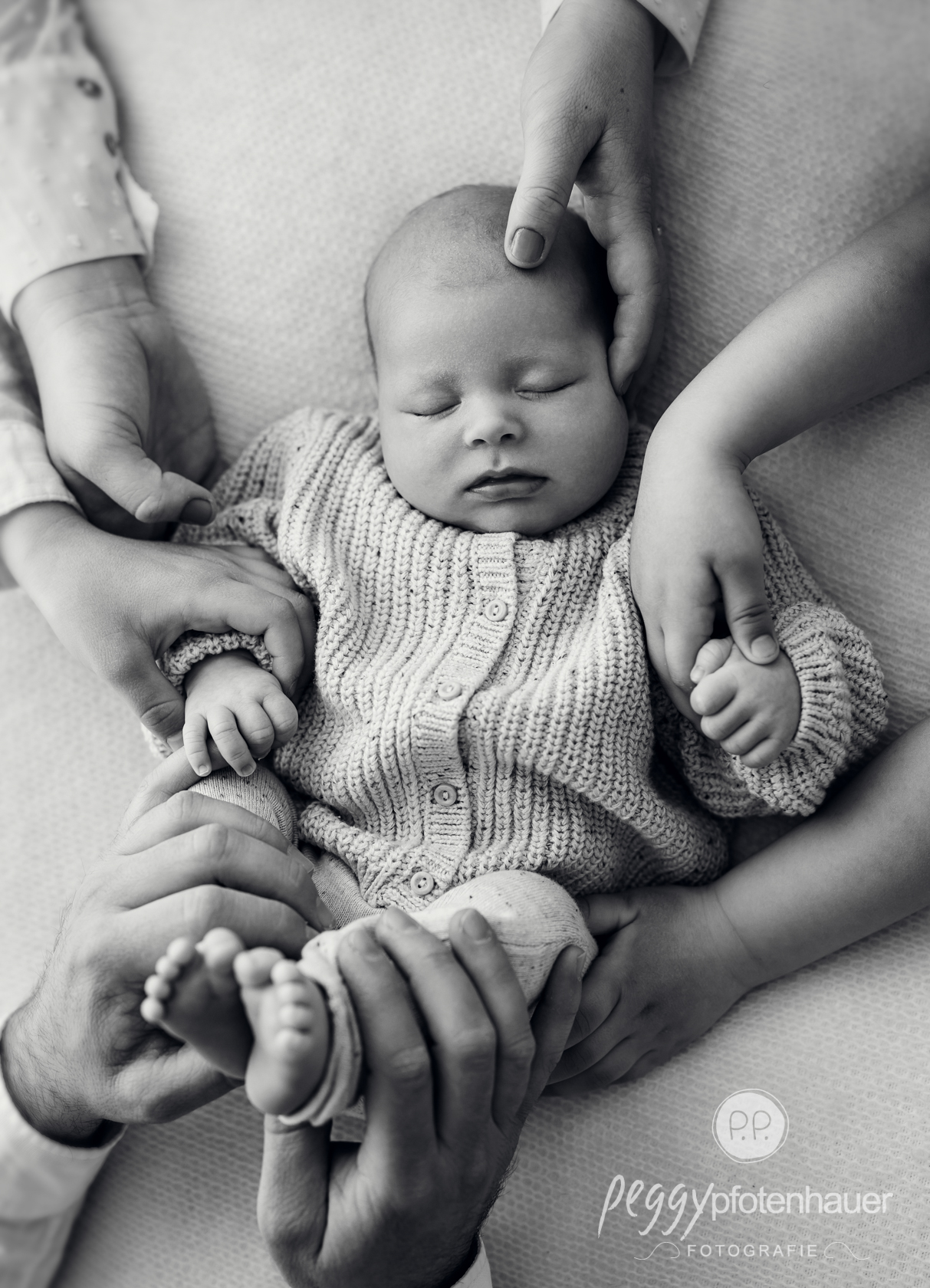 Hände von Mama Papa und Geschwistern halten Baby