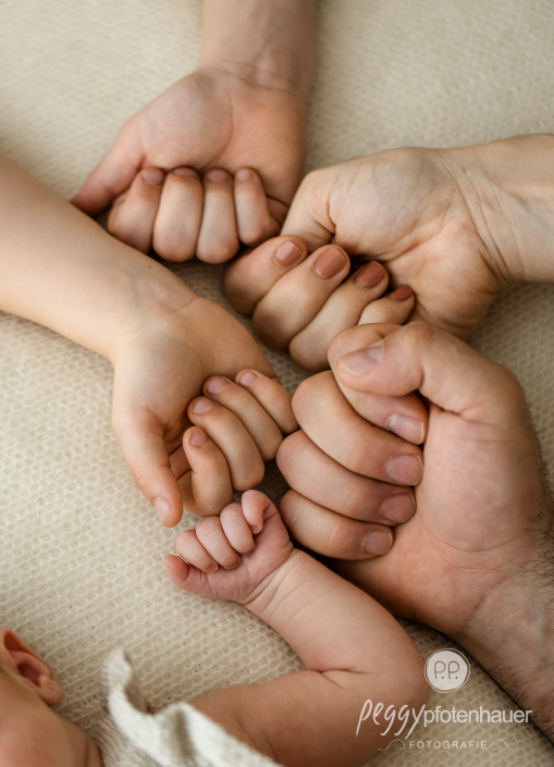 Fäuste aller Familienmitglieder nebeneinander